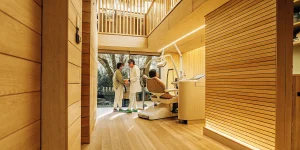 Dentist discussing All-on-4 dental implant options with a patient